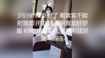 【梦梦】2024新流出，人气模特私拍，无内肉丝 清晰透穴，微微张开的两瓣唇若隐若现，大饱眼福佳作