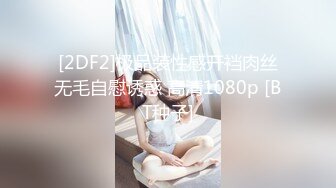 [2DF2]极品装性感开裆肉丝无毛自慰诱惑 高清1080p [BT种子]