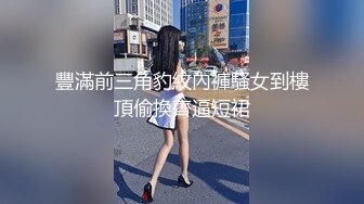 豐滿前三角豹紋內褲騷女到樓頂偷換齊逼短裙