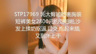 STP31626 起点传媒 性视界传媒 XSJTC20 失恋废柴找回自信 赖畇希 VIP0600