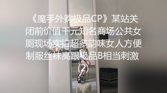 《魔手外购极品CP》某站关闭前价值千元知名商场公共女厕现场实拍超多韵味女人方便制服丝袜高跟极品B相当刺激 (2)