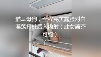 猫耳母狗，全程完美露脸对白淫荡打桩后入内射（此女简芥可约）