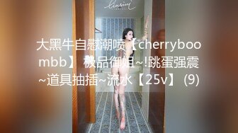 ID5226 舒婷 狂飙之高启强与陈书婷的风花雪月 爱豆传媒