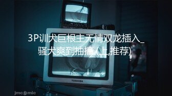 坐标开封