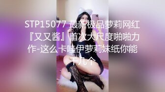 小菊花