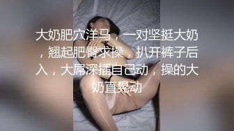   鸭总探花再现KTV的淫荡一夜，小姐姐貌美温柔，歌声中个不停，硬了连搞两次，氛围满分欣赏价值高