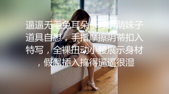 歌厅唱K激情  双人跳舞撩起衣服揉捏  扒掉内裤按头口交