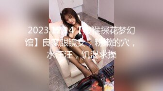 乌克兰美女Mila Azul的Onlyfans最新大合集，各种道具秀尺度更大，肛塞、假jb、电动玩具自慰【730V】 (4)