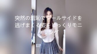  【震撼?泄密】极品长腿蜂腰翘臀美女yinqiqiqi付费欣赏视频41部 极度反差婊 呻吟声特勾魂87P 41V