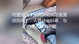 浪小辉系列