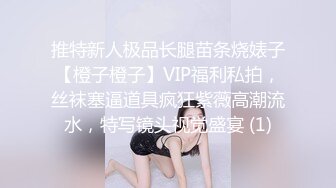 推特新人极品长腿苗条烧婊子【橙子橙子】VIP福利私拍，丝袜塞逼道具疯狂紫薇高潮流水，特写镜头视觉盛宴 (1)