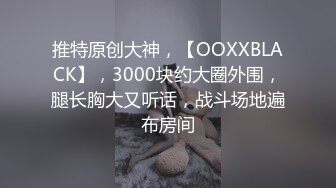 漂亮的少妇漆工