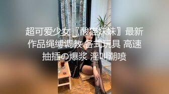 身材好气质佳模特儿被肉棒征服