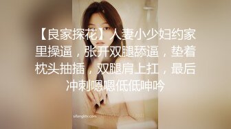 nicolove 妮可·洛芙妮可 特斯拉上的口爆