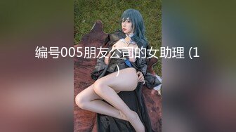 葫蘆影業HUL025-026頭牌技師+性奴聖誕迷情夜+二郎真君戲嫦娥