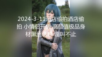 香蕉视频 xjx-0036 黑丝销售为客户提供服务-莎莎