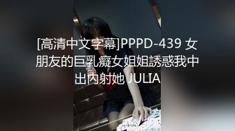 [高清中文字幕]PPPD-439 女朋友的巨乳癡女姐姐誘惑我中出內射她 JULIA