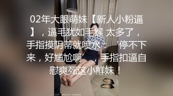 麻豆傳媒 SZL010 巨乳人妻秘密出軌 無套高潮射入 菲菲