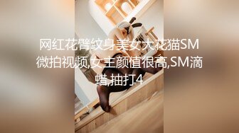 网红花臂纹身美女大花猫SM微拍视频,女主颜值很高,SM滴蜡,抽打4