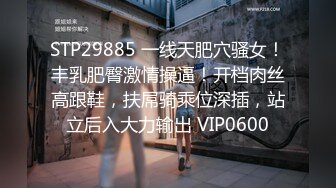 STP29885 一线天肥穴骚女！丰乳肥臀激情操逼！开档肉丝高跟鞋，扶屌骑乘位深插，站立后入大力输出 VIP0600