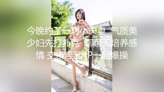 郊区车震小少妇