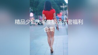 精品少妇大学生极品泄密福利合集