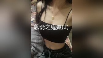 聊斋之鬼狐(2)