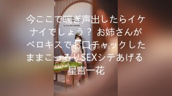 今ここで喘ぎ声出したらイケナイでしょう？ お姉さんがベロキスでお口チャックしたままこっそりSEXシテあげる 星宫一花