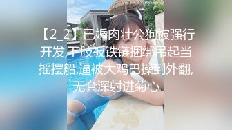 猫耳女仆两个大阳具深入后庭蜜穴 高潮爆浆表情非常享受快感