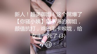 寻花偷拍系列-男主约了个高颜值大奶美女啪啪…