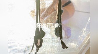 【自制字幕系列】第24弹 探花剪辑版6部，长达个把小时的探花剪辑成两分钟左右的剧情