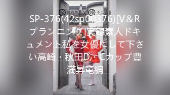 SP-376(42sp00376)[V＆Rプランニング]実録素人ドキュメント私を女優にして下さい高崎・秋田D・Cカップ豊満昇竜編