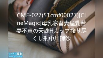 CMF-027(51cmf00027)[CineMagic]母乳家畜妻猛乳若妻不貞の天誅Hカップ搾り尽くし刑中川理沙