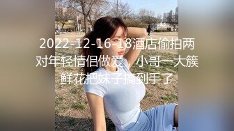 【李寻欢探花，小伙约战美人妻，今夜母子乱伦场，大胸骚姐姐风情万种，口交啪啪精彩万分必看佳作