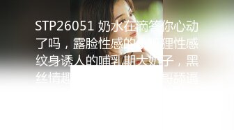 STP26051 奶水在滴答你心动了吗，露脸性感的小狐狸性感纹身诱人的哺乳期大奶子，黑丝情趣口交大鸡巴让小哥舔逼爆草 VIP2209